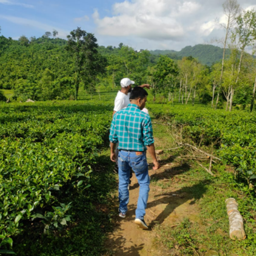 website development company near me